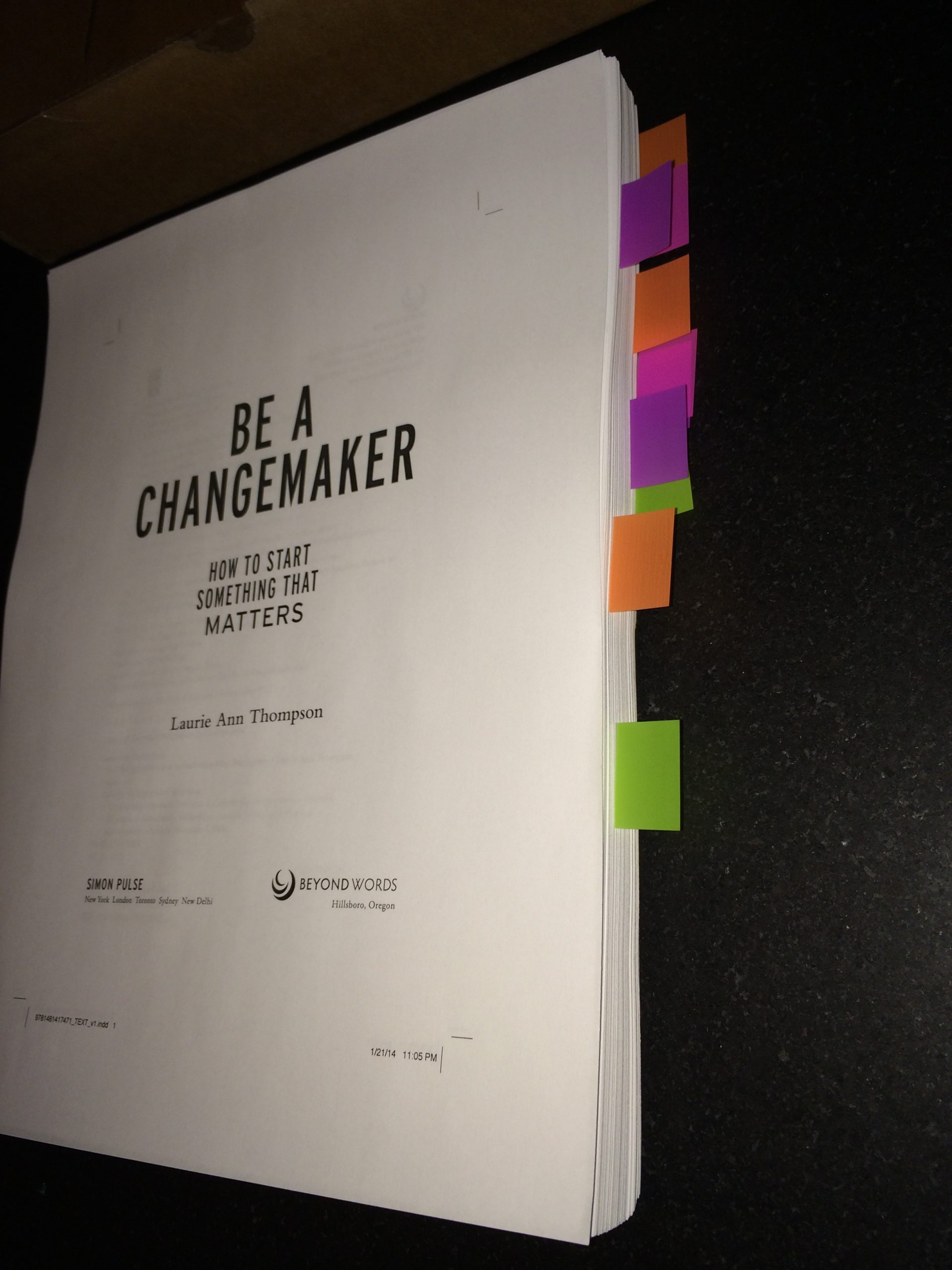 BE A CHANGEMAKER manuscript