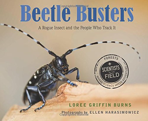 Beetle Busters cover