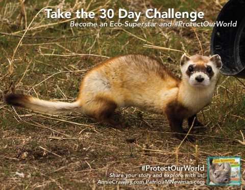 #ProtectOurWorld challenge poster