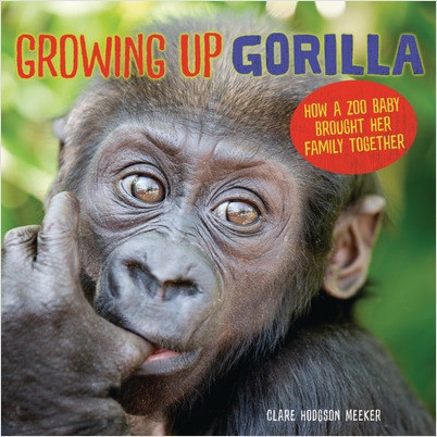 Growing Up Gorilla cover