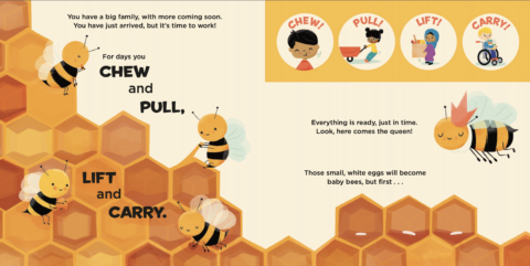 interior spread from HONEY BEE