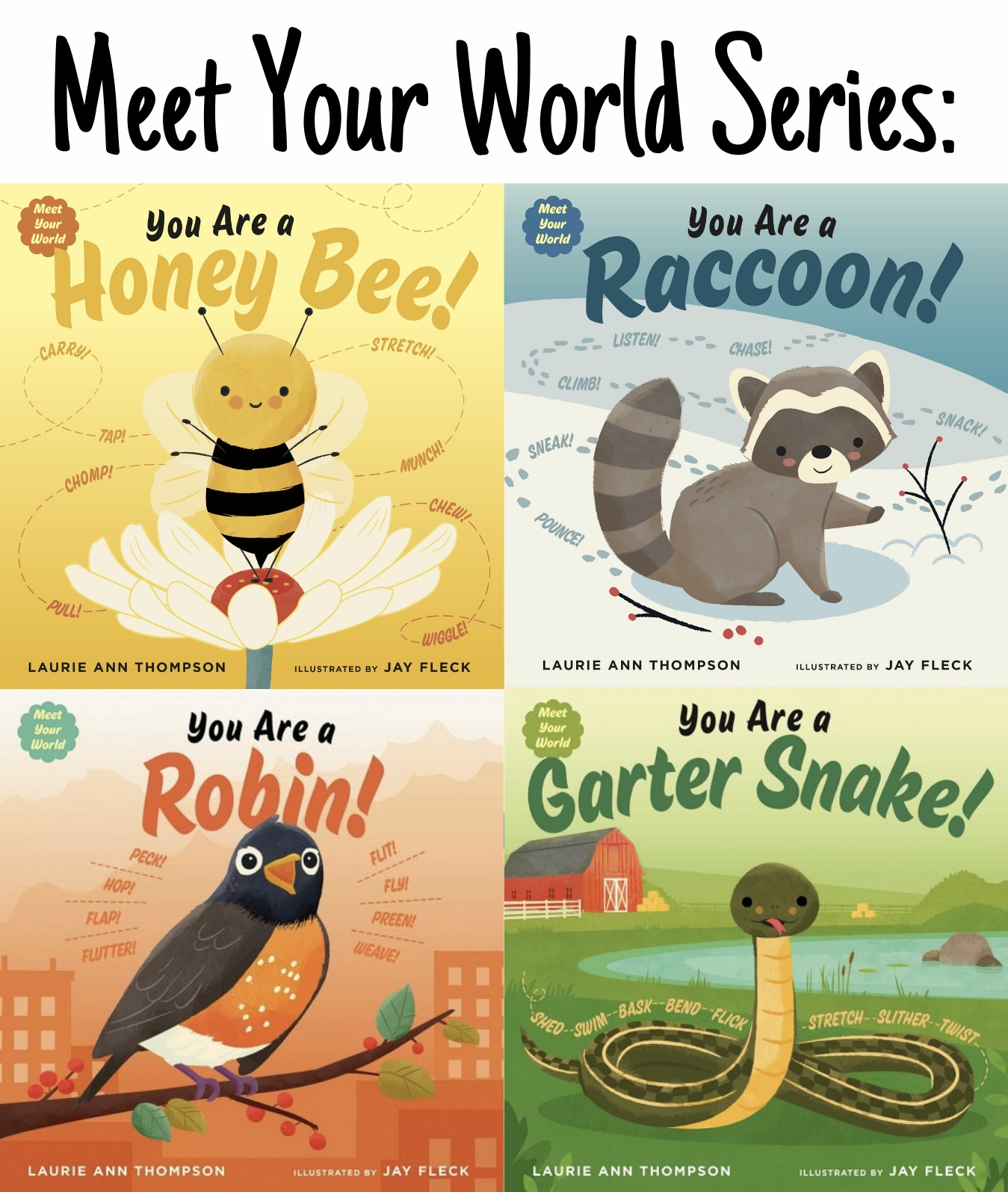 Covers of all four books in the Meet Your World series